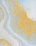 Water & Gold I Print